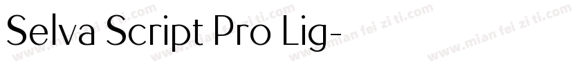 Selva Script Pro Lig字体转换